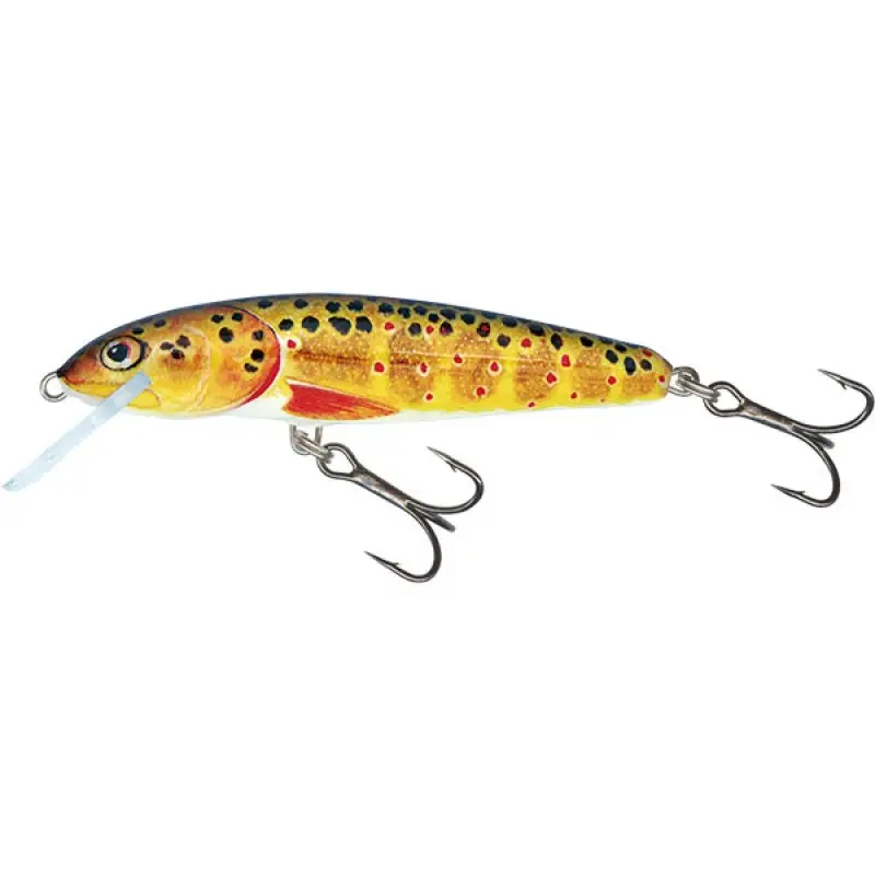 Vobler SALMO Minnow Floating, Trout, 5cm Vezi acum