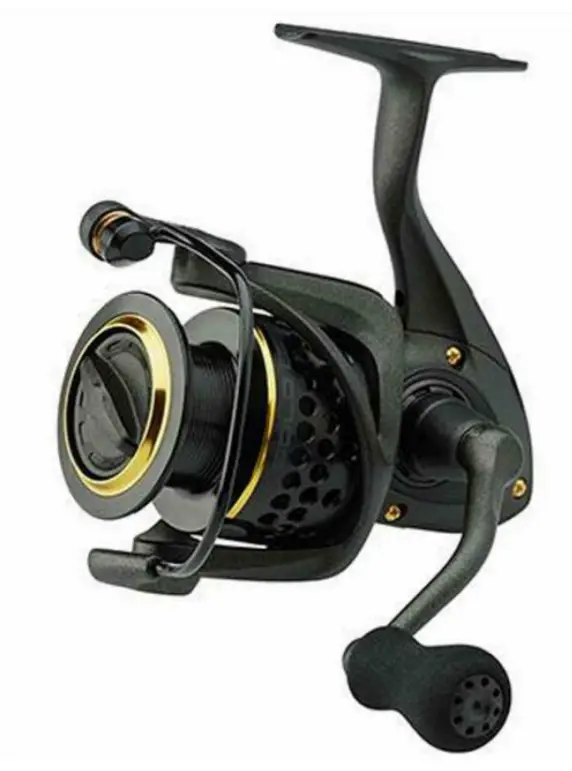 Mulineta Okuma Gold Discount