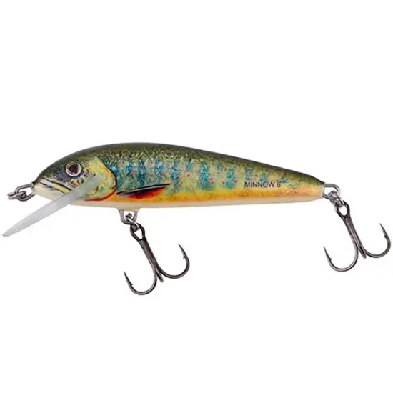 Livrare rapidă Vobler Salmo Minnow 5 Floating, 5cm 3g, Lake Charr