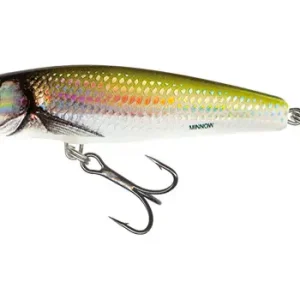 Ofertă Vobler Salmo Minnow Floating, Holo Bleak, 7cm, 6g
