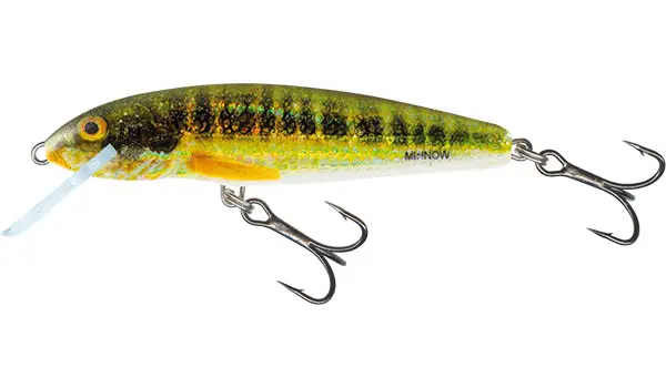 Vobler Salmo Minnow Sinking, Holo Real Minnow, 7cm, 8g Comandă acum