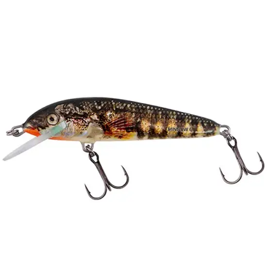 Transport gratuit Vobler Salmo Minnow 7 Sinking Holo Stickleback 7cm, 8g