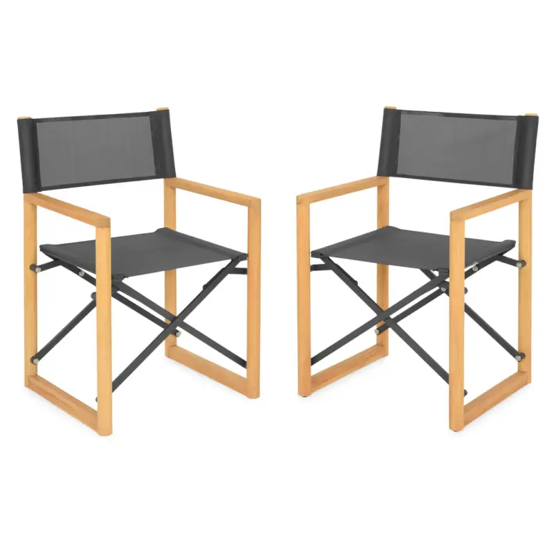 Disponibil imediat REGIZOR Set mobilier terasă/grădină, 2 scaune pliabile