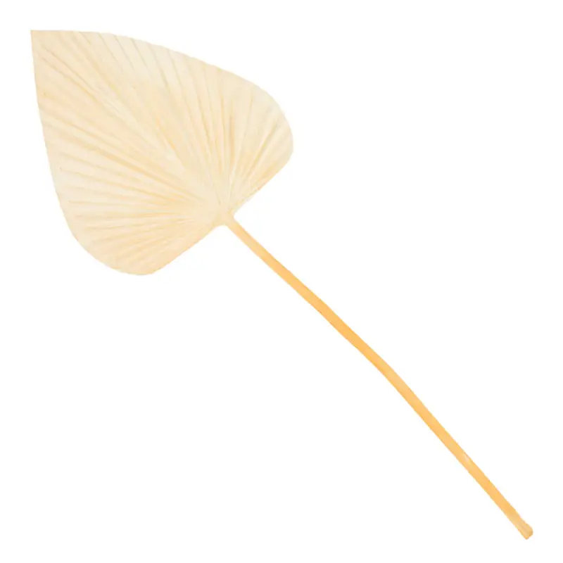 Cel mai bun preț PALM LEAF Frunză artificială