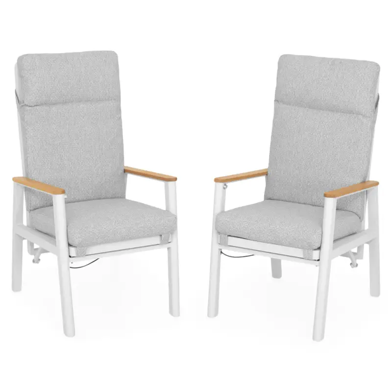 Livrare expres VALDIVIA Set mobilier terasă/grădină, 2 scaune recliner