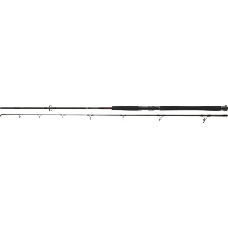 Doar azi Lanseta Daiwa Exceler Catfish Boje, 2seg, 3.30m, 200-600g