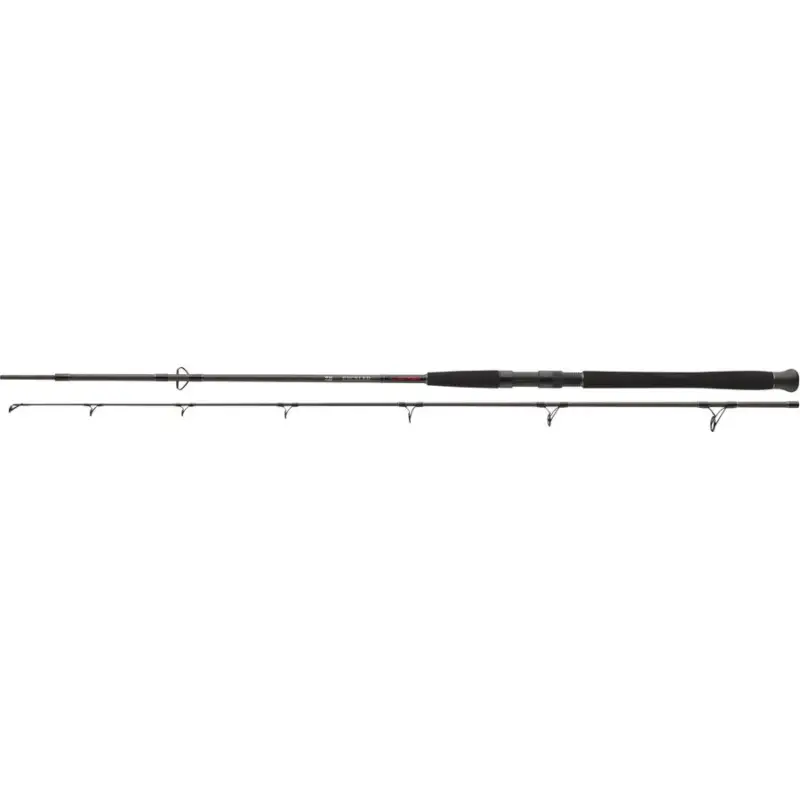 Lanseta Daiwa Exceler Catfish Spin, 2seg, 2.40m, 135g Vezi acum