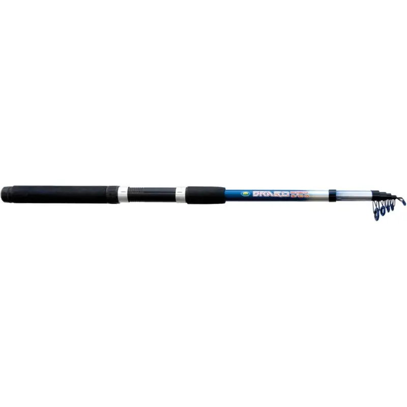 Ofertă de sezon Lanseta Telescopica Lineaeffe Drago, 2.40m, 20-80g