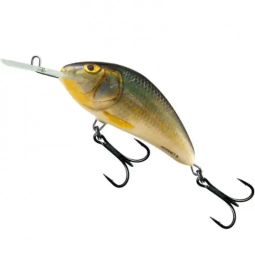Cumpărături sigure Vobler Salmo Hornet H9F, Floating, culoare RR, 9cm, 36g