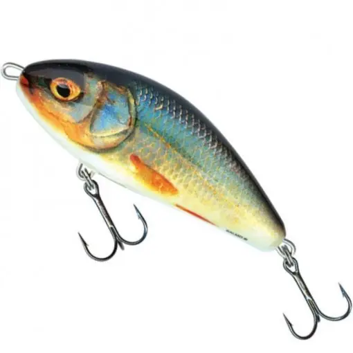 Vobler Salmo Fatso Sinking F10S, culoare RR, 10cm, 52g Ofertă limitată