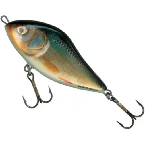 Vobler Salmo Slider Floating SD5F, culoare RR, 5cm, 6.5g Livrare rapidă