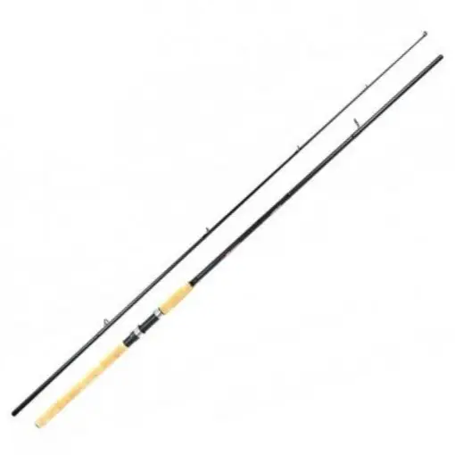 Lanseta Formax Thunder NG Spin, 2.75m, 40-80g, 2 tronsoane Reduceri