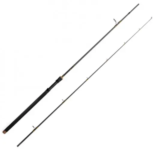 Ofertă specială Lanseta Delphin Murena, 2.40m, 100g, 2 tronsoane