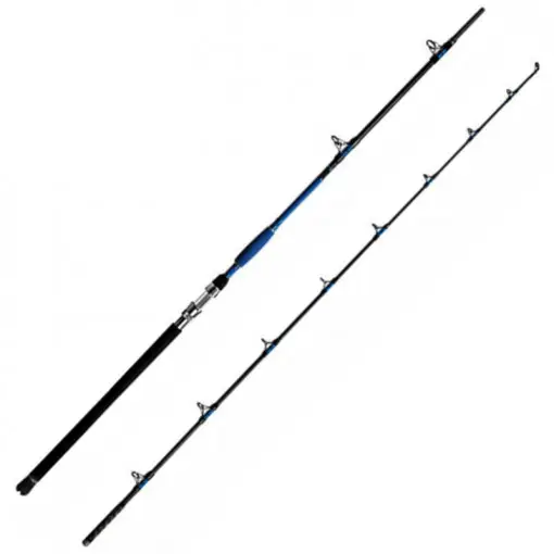 Ofertă specială Lanseta Delphin Hazard, 2.85m, 500g, 2 tronsoane