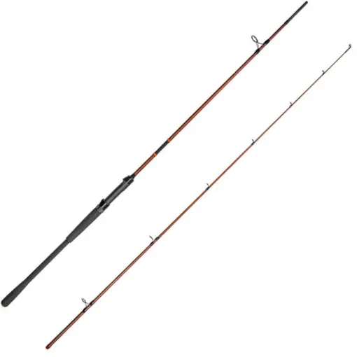 Lanseta Delphin Exploza Hard, 2.40m, 65g, 2 tronsoane Vezi acum