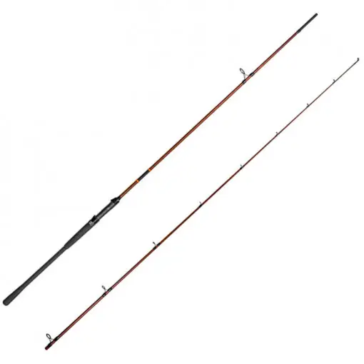 Ofertă limitată Lanseta Delphin Exploza Hard, 3.00m, 70g, 2 tronsoane