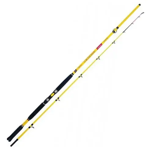 Cumpără acum Lanseta Colmic Marlet Boat 2.70m, 70-300g, 2 tronsoane