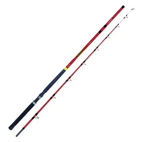 Plată sigură Lanseta Colmic Rider Strong 2.70m, 750g, 2 tronsoane