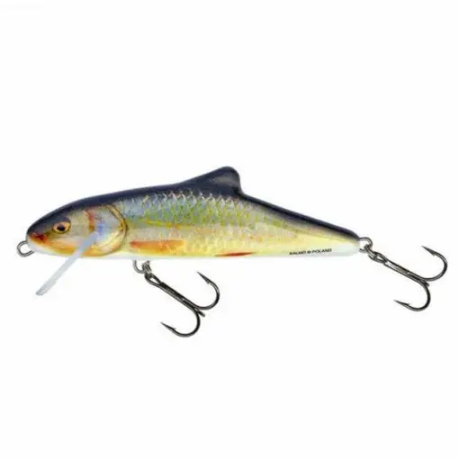 Nu rata Vobler Salmo Skinner SK10F, RR, 10cm, 15g