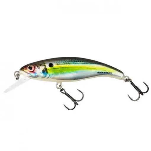 Vobler Salmo Slick Stick, RHS, 6cm, 3g Doar azi