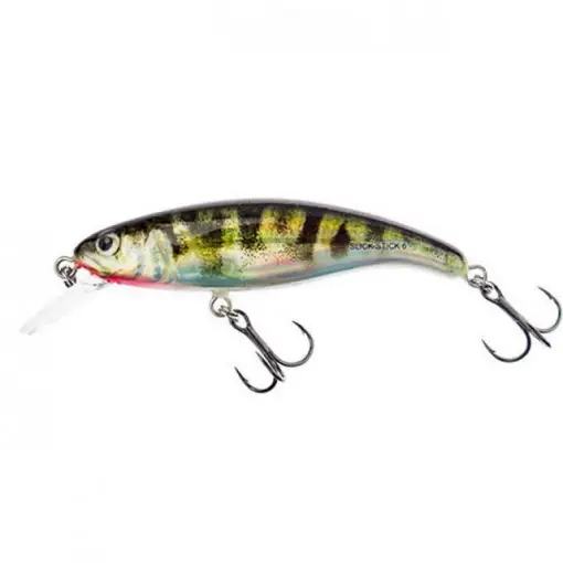Vobler Salmo Slick Stick, HSK, 6cm, 3g Discount