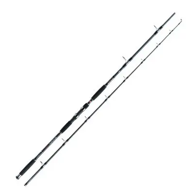 Premium Lanseta Jaxon Eclatis Catfish, 3m, 550g, 2 tronsoane