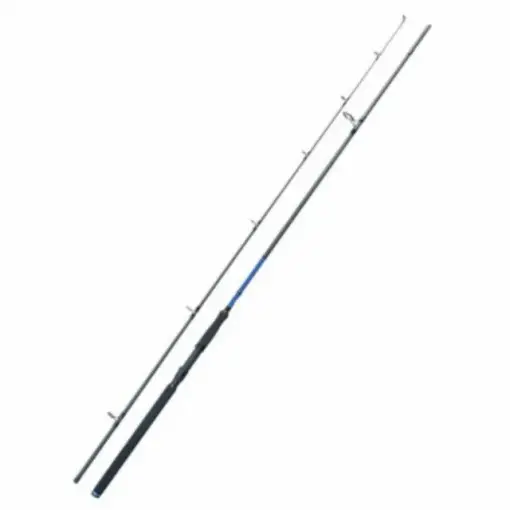 Cel mai vândut Lanseta Baracuda Passion Power, 3m, 40-125g, 2 tronsoane