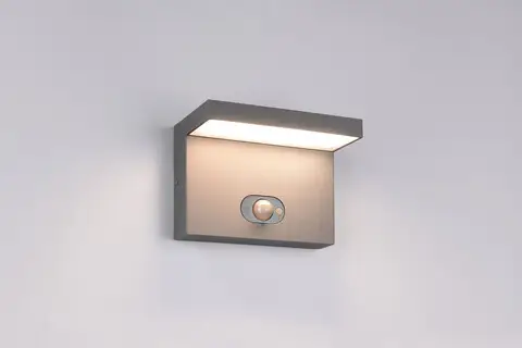 Aplica de perete pentru exterior Blyde, TRIO, 18x13 cm, 5W, 1x SMD LED, aluminiu, antracit Livrare rapidă