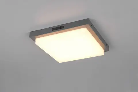 Plafoniera patrata pentru exterior Bermejo, TRIO, 30x30x5.7 cm, 14W, 1x SMD, metal, antracit/alb Livrare gratuită