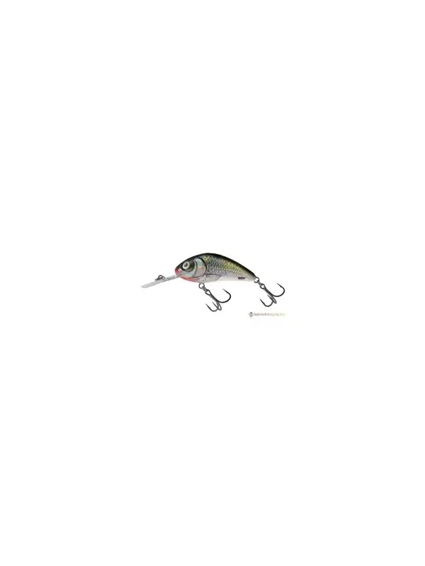 Salmo Vobler Rattli`n Hornet 6,5CM Floating HBL (Holo Bleak) Ofertă de sezon