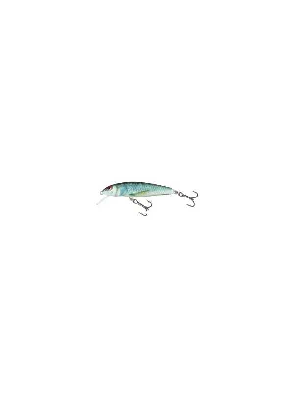 Ofertă exclusivă Salmo Vobler Minnow Floating M5F - Rainbow Dace (RBD)