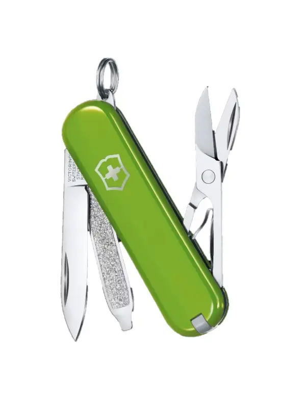 Mai ieftin Victorinox Briceag Verde Smashed Avocado