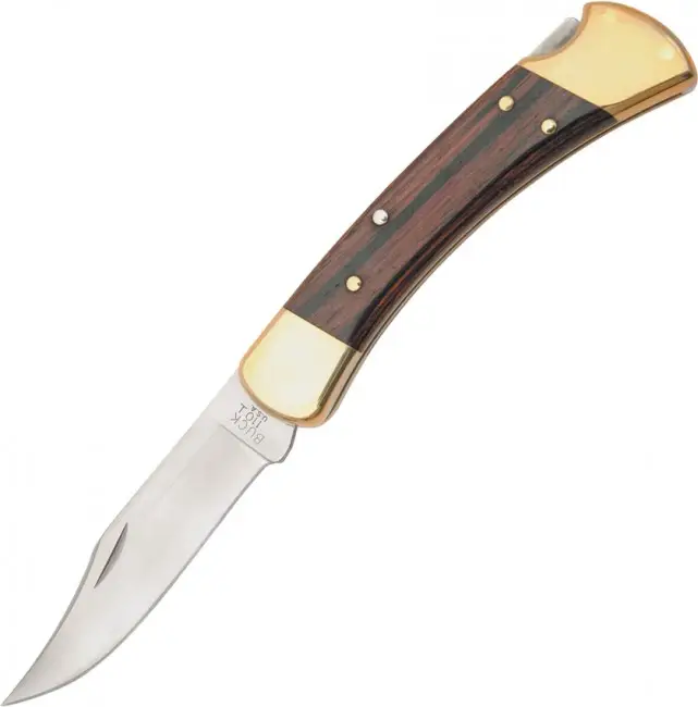 Buck Folding Hunter Ofertă specială
