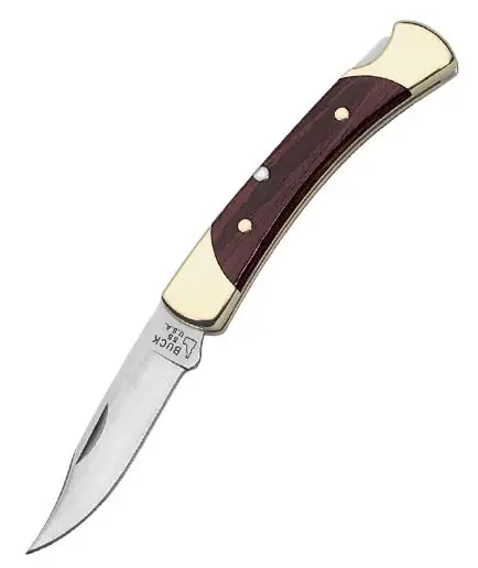 Comandă acum Buck The 55 Lockback Folding Hunter