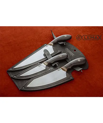 Comandă acum Set Lemax LX006