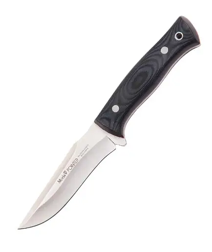 Promoție Muela Pointer 12M