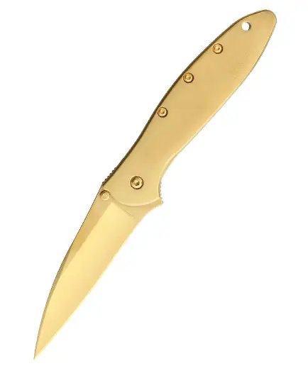 Cel mai bun preț Kershaw Leek A/O Gold KS1660G