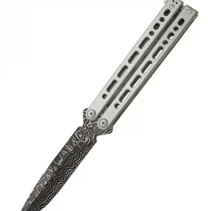 Bear Song VIII Gray Stainless BC820SSLD Vezi acum