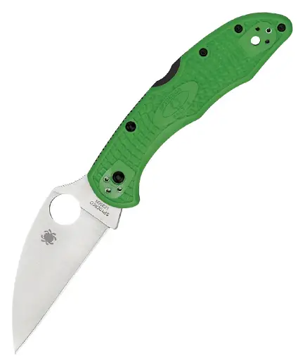 Ultima șansă Spyderco Salt 2 Lockback SC88FPWCGR2