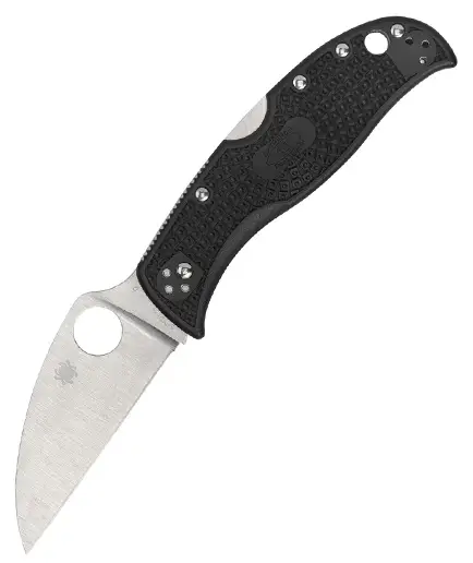 Ofertă specială Spyderco RockJumper SC254PBK